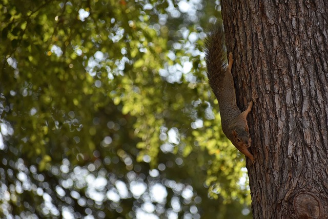 所面临的问 所面临的问