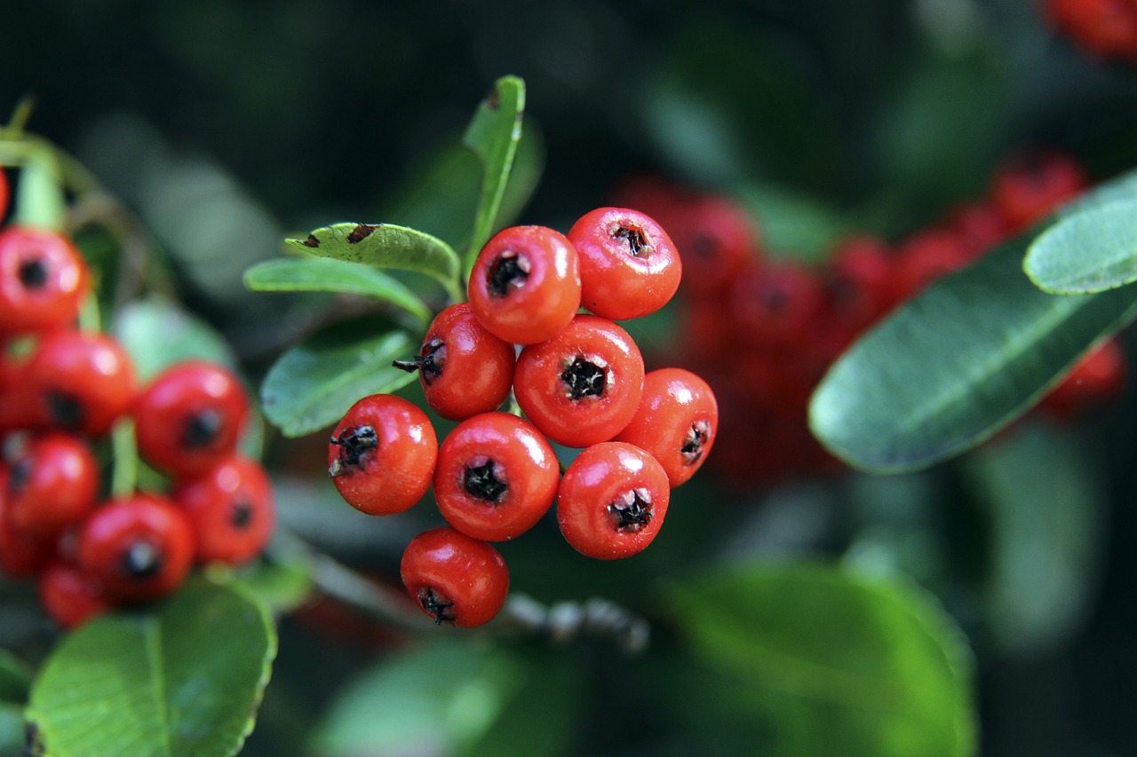 一次又一次 一次又一次