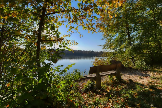 根据统计 根据统计