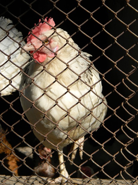 回到港珠澳 回到港珠澳