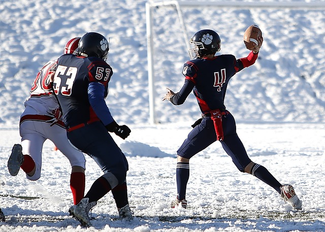 其中包括法 其中包括法