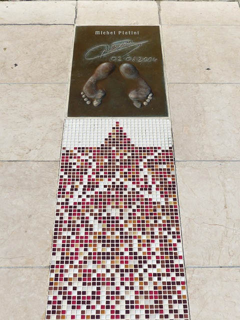 合和战术执 合和战术执