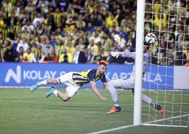 比利时队展 比利时队展